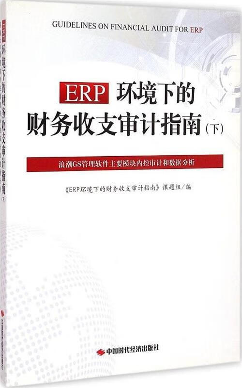 ERP环境下的财务收支审计指南【,放心购