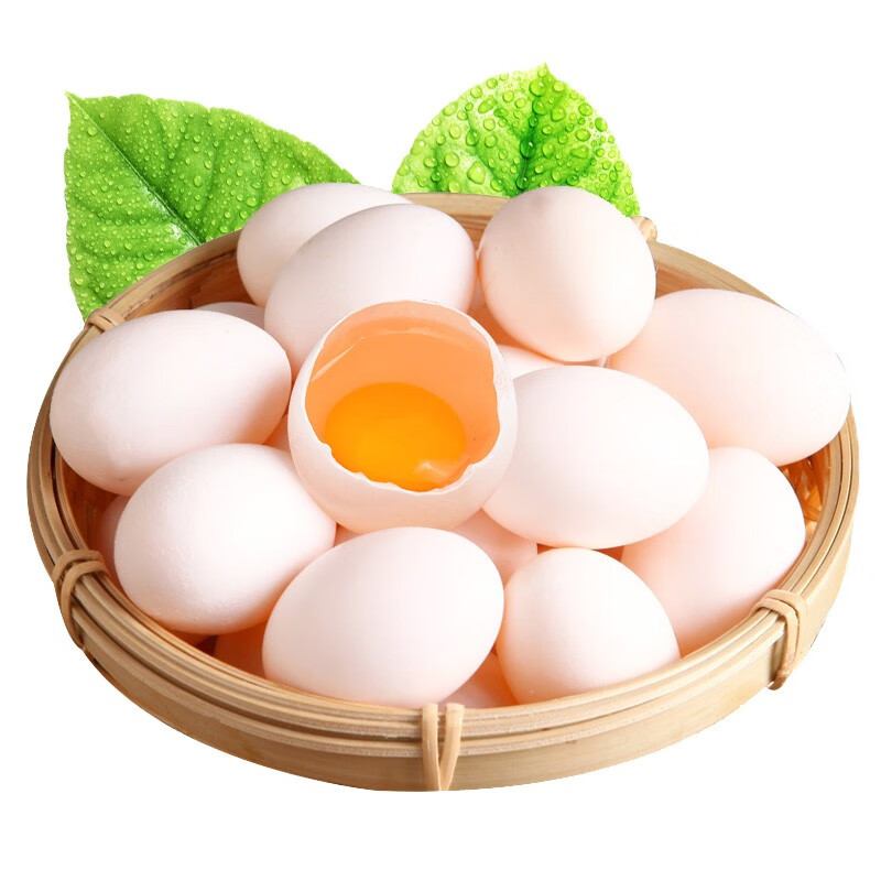 香丹青鸽子蛋新鲜30枚土鸽蛋农家五谷杂粮喂养鸽蛋 10枚