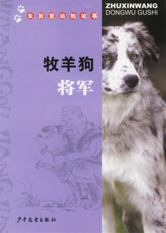 正版图书 牧羊狗将军 朱新望动物故事 朱新望 著 少年儿童出版社