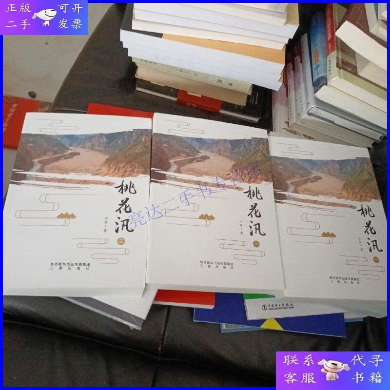 【二手9成新】桃花汛 全三册