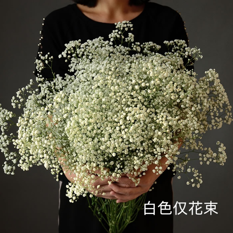 放客厅干花摆件摆设天然满天星带花瓶永生真花 米白色