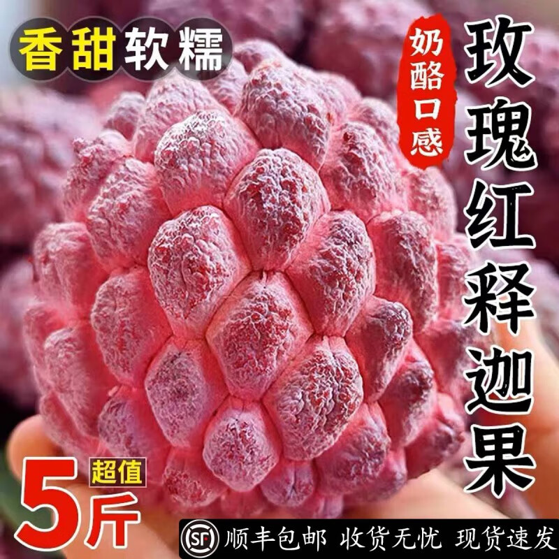 玫栀 珍稀玫瑰红释迦果5斤新鲜水果牛奶凤梨释迦番荔枝佛头牟尼果 3斤