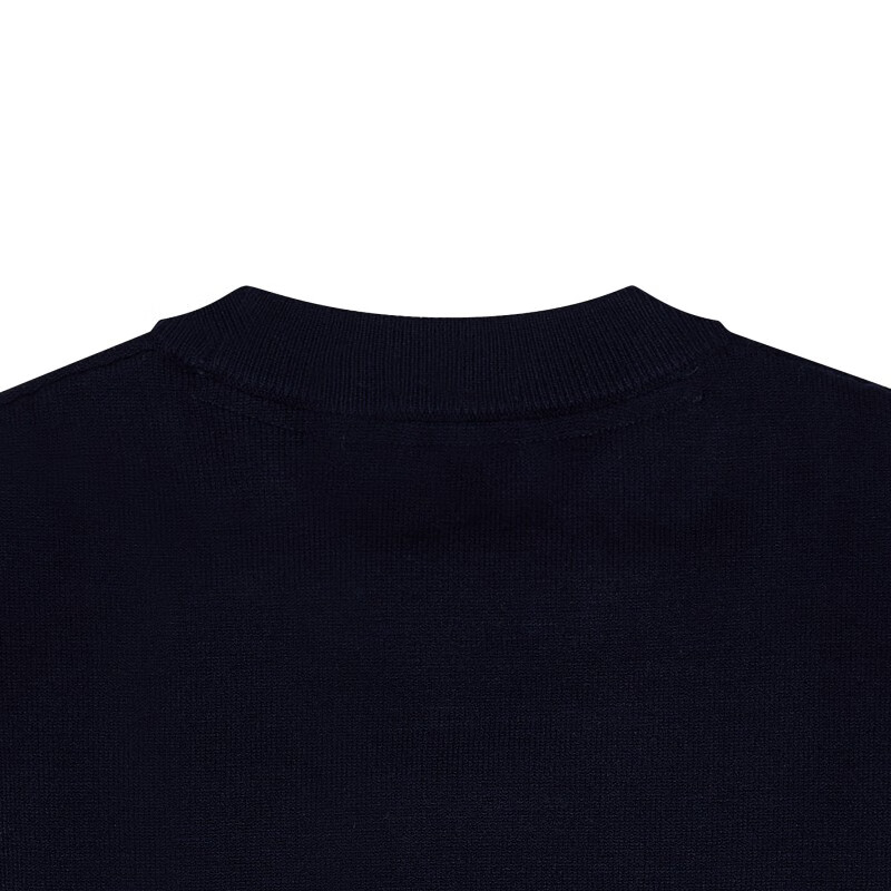 保罗·彼得专柜同款 秋季新款舒适休闲百搭日常男士毛衫MFCD34351 藏青色 常规 L (175)