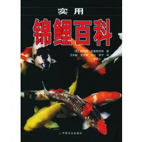 实用锦鲤百科【正版图书】