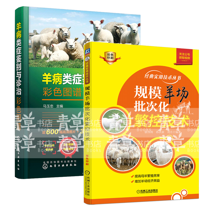 全2册】羊病类症鉴别与诊治彩色图谱+规模羊场批次化繁控技术 经典实用技术丛书 管理羊场繁殖疾病防治教程提高母羊繁殖效率书籍