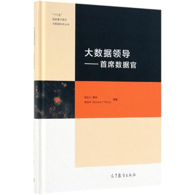 大数据领导:首席数据官 图书