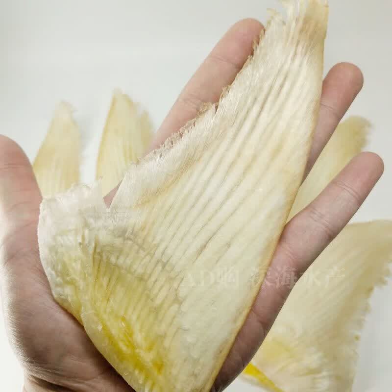 干货软骨翅深海新鲜水产煲汤滋补酒店鱼胶佛跳墙食材 鲨鱼骨翅100g