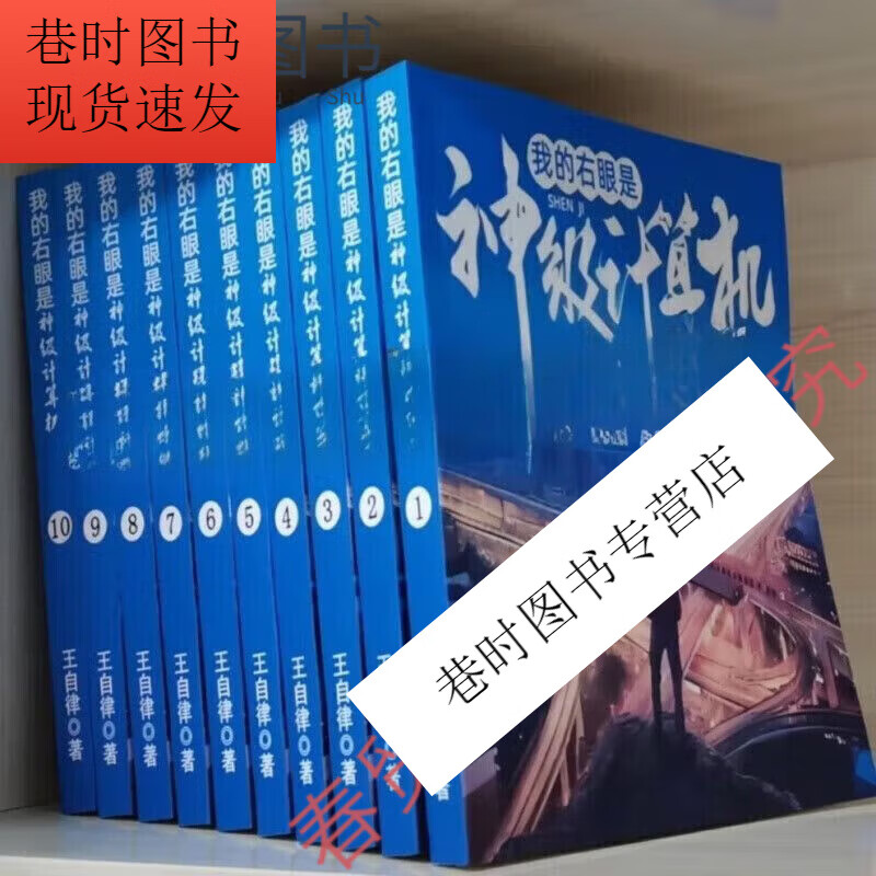 我的右眼是神级计算机txt