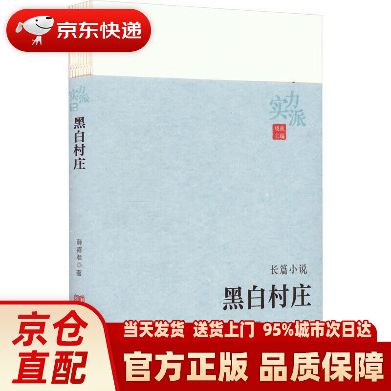 黑白村庄 薛喜君 中国言实出版社