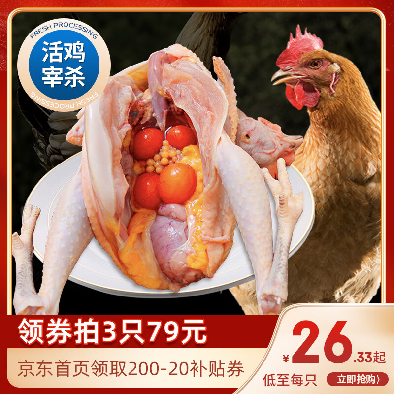 简鲜 当日现杀新鲜农家大别山散养老鸡土鸡生鲜整只鸡活杀走地鸡柴鸡 500天散养老母鸡1.8斤