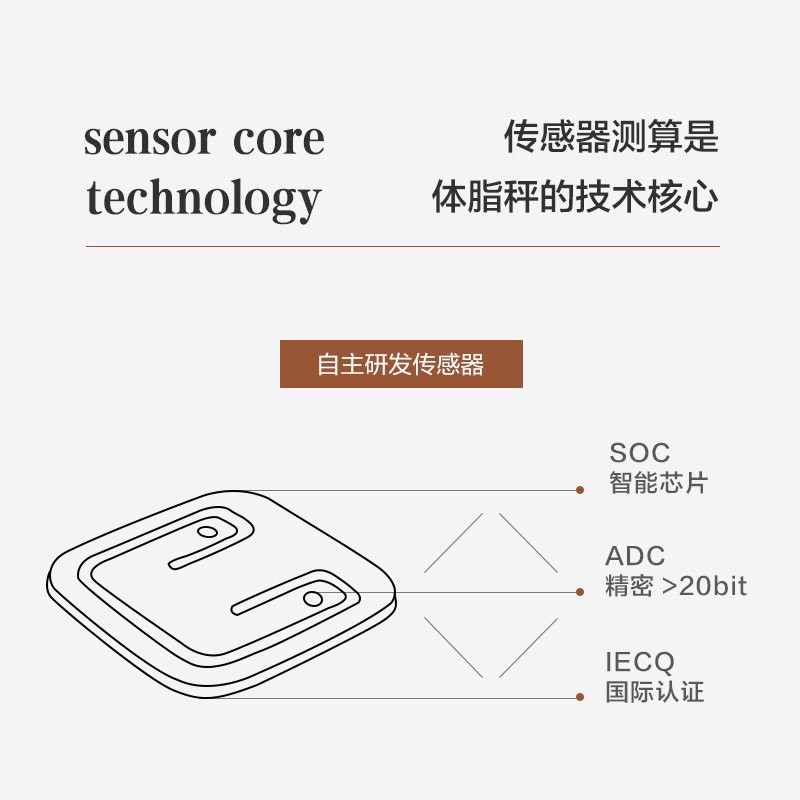 香山 体脂秤精准体重秤 京东小家智能生态 电子秤家用称体重计 12项健康数据监测 云姿皓白【充电款】