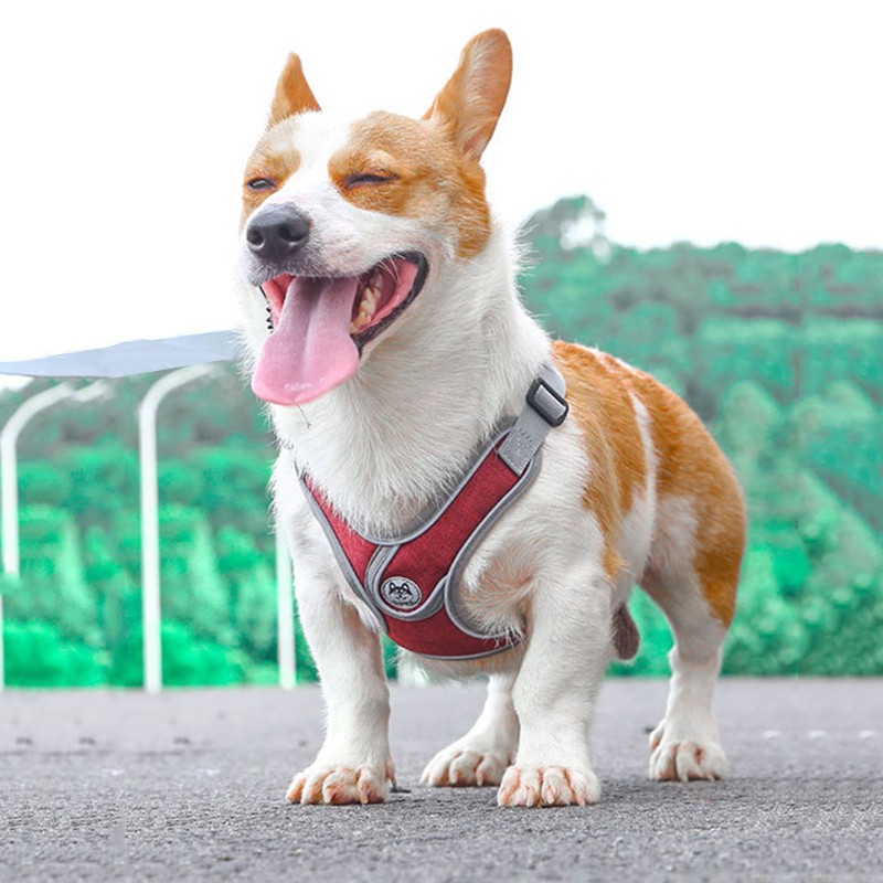 SLPC狗狗胸背带背心式小型犬牵引法斗泰迪柯基胸背中型犬遛狗绳背带 送1.5米原配绳/天空蓝 M/胸围50-62cm/约15-28斤