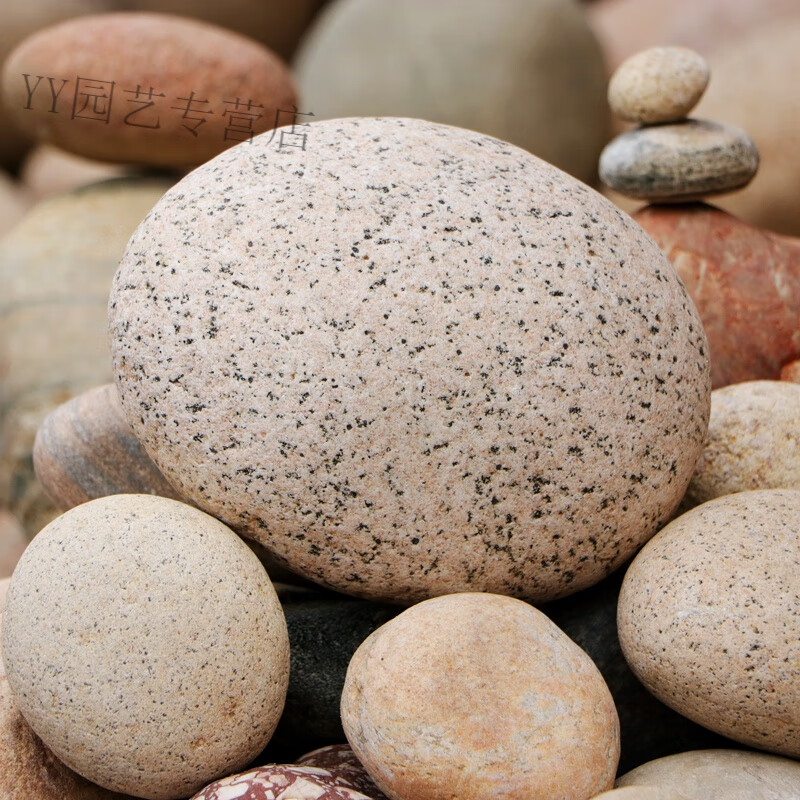 潮鸣大圆鹅卵石石春鹅春石大号风水摆件石头天然原石白色鹅软石大石头