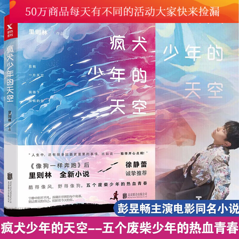 疯犬少年的天空 青春文学>热血 成长 叛逆 里则林 北京联合出版公司 彭昱畅主演电影同名小说 Y