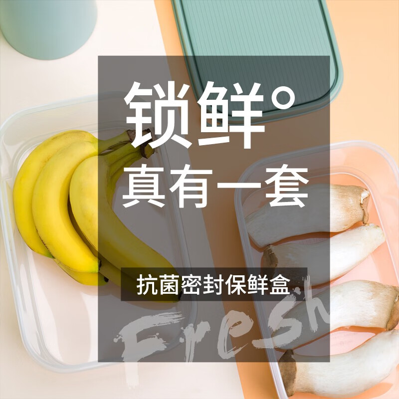 禧天龙保鲜盒抗菌冰箱保鲜盒塑料储物盒密封盒生鲜蔬菜水果冷藏冷冻盒 【抗菌款】2件套4.3L