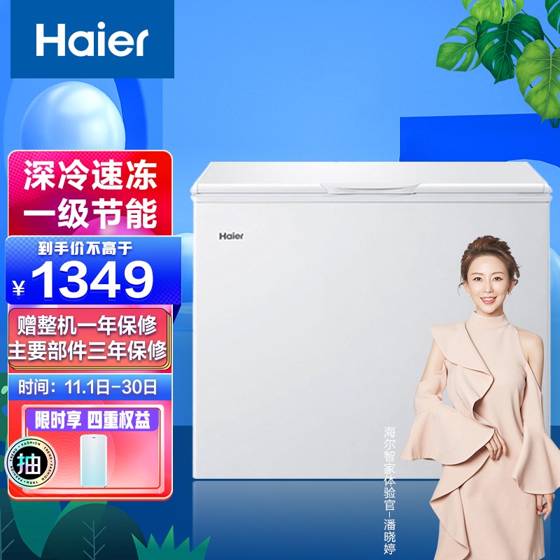 海尔（Haier） 232升家用冰柜 冷藏冷冻转换柜 BC/BD-232HD