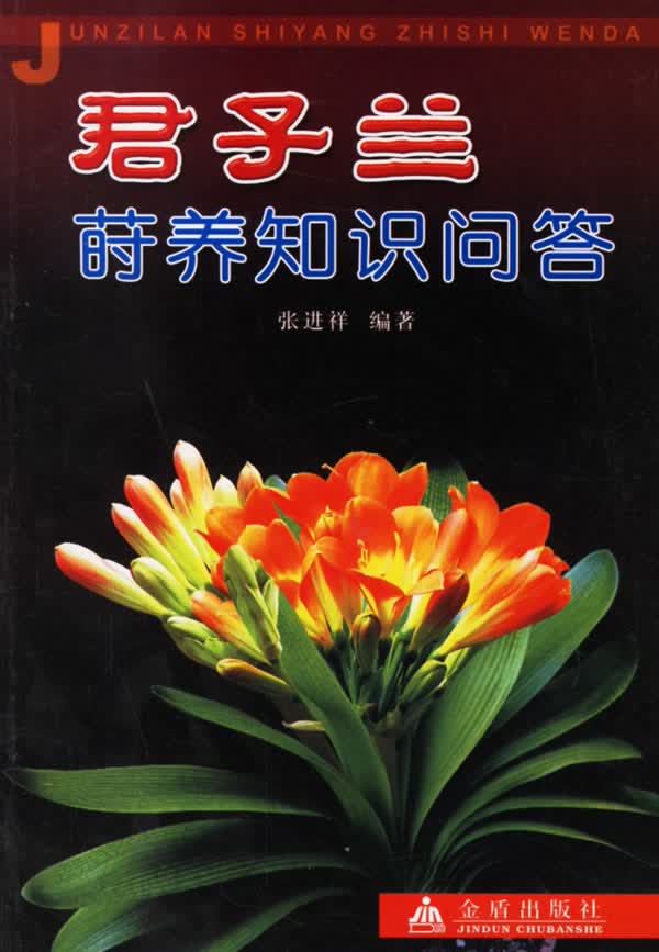 君子兰莳养知识问答