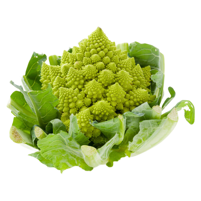 十里馋新鲜云南宝塔花菜食用蔬菜意大利罗马花椰菜特色西餐 大果一颗