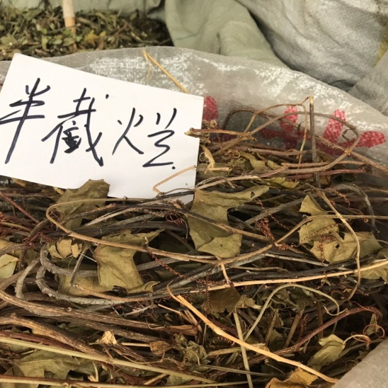 半截烂图片与功效图片