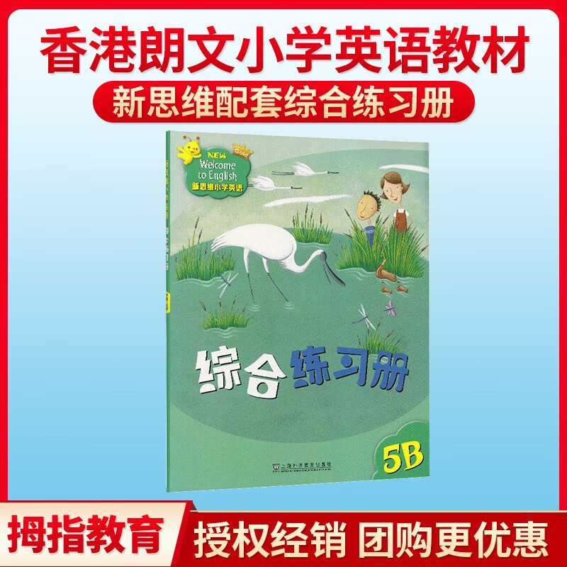 朗文新思维小学英语国内版 New Welcome to English Gold 5B 五年级教材 综合练习