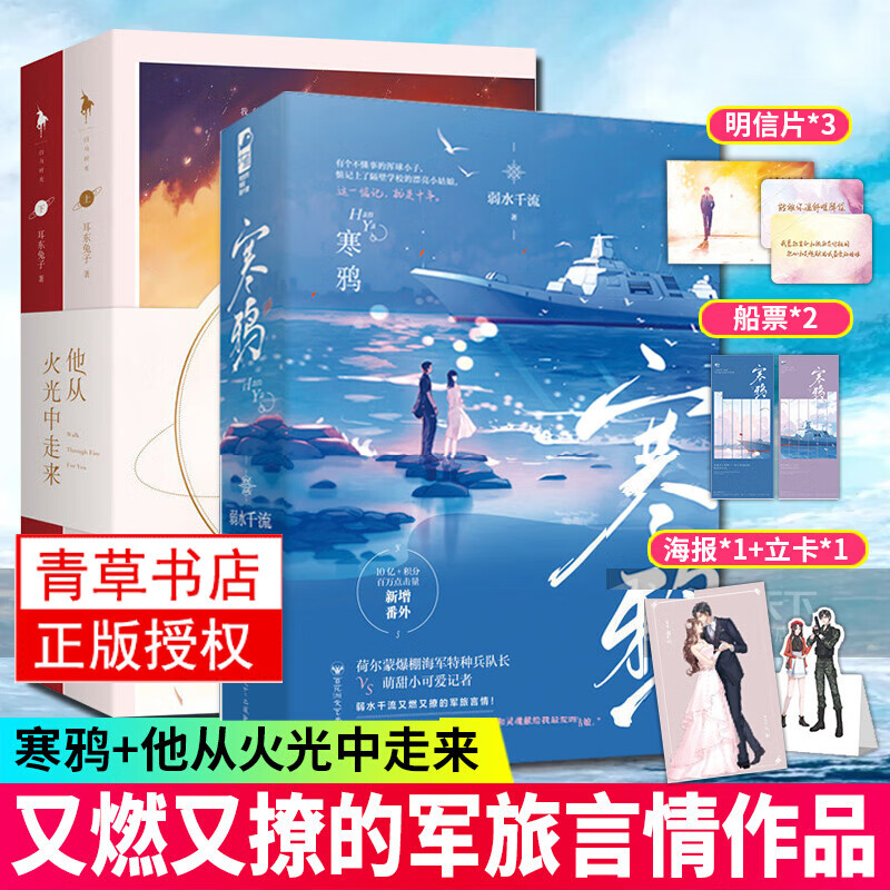 全新正版 寒鸦/他从火光中走来 全4册 青春文学军旅言情甜宠爱情小说