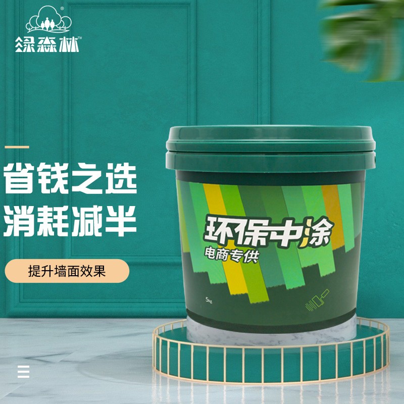 绿森林 内墙底漆环保中涂面漆搭档 油漆涂料 墙面卫士全能底漆 白色