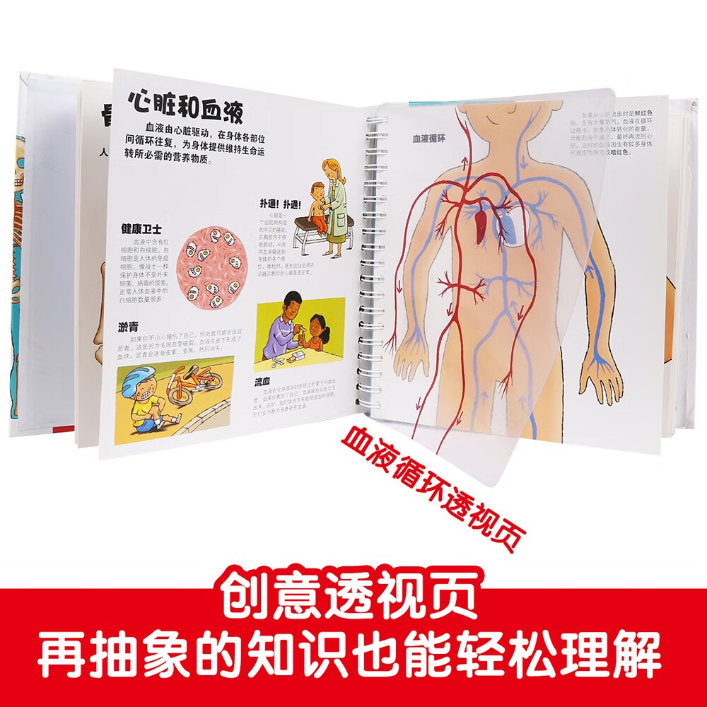 我们的身体/太空/交通工具/动物王国（套装4册）羊水袋书3-6岁少儿科普立体书 低幼认知绘本翻翻书暑假阅读暑假课外书课外暑假自主阅读暑期假期读物详情图
