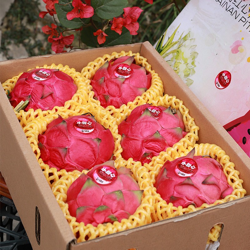 初逐广西红心火龙果高档精品水果礼盒装(单果约1斤) 过节送礼生鲜水果