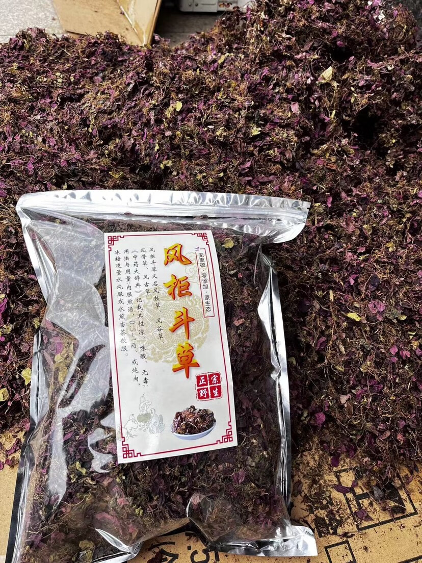 福建野生风柜斗草干品深山当季野生风鼓草风谷草风骨草楮头红 风柜50g