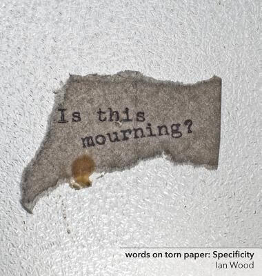预订words on torn paper: specificity