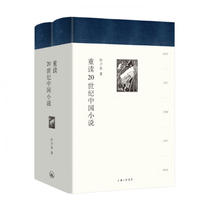 理想国 重读20世纪中国小说 重读二十世纪中国小说 许子东 著 总结性学术著作 中国当代文学史正版截图