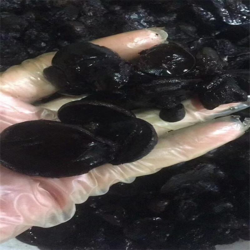 馋东北特产新鲜蘑菇食用菌类猪嘴蘑猪拱嘴一份三斤冷冻发货顺丰 黑色