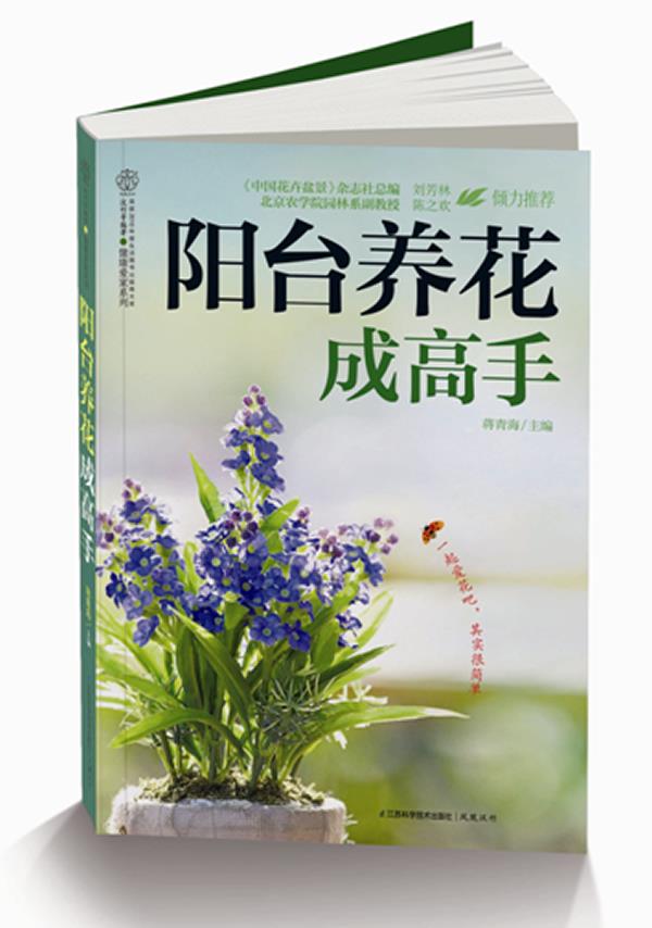 阳台养花成高手 蒋青海主编【正版图书】