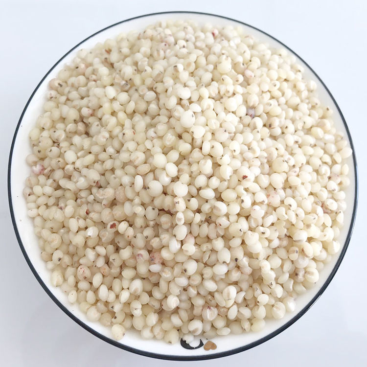 高粱米 1斤5斤特产食用粗粮新米脱壳白高梁米高粮米酿酒高粱 高粱米