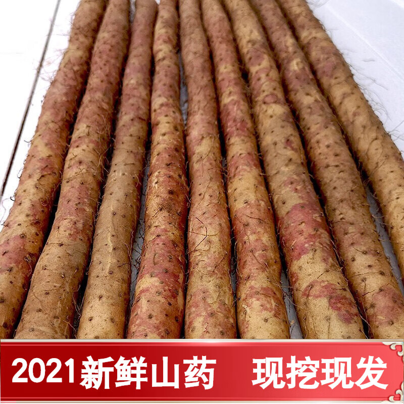 京东京东秒杀 2021-12-14 - 第9张 | 最新购物优惠券 京东京东秒杀 2021-12-14 - 第9张 | 最新购物优惠券