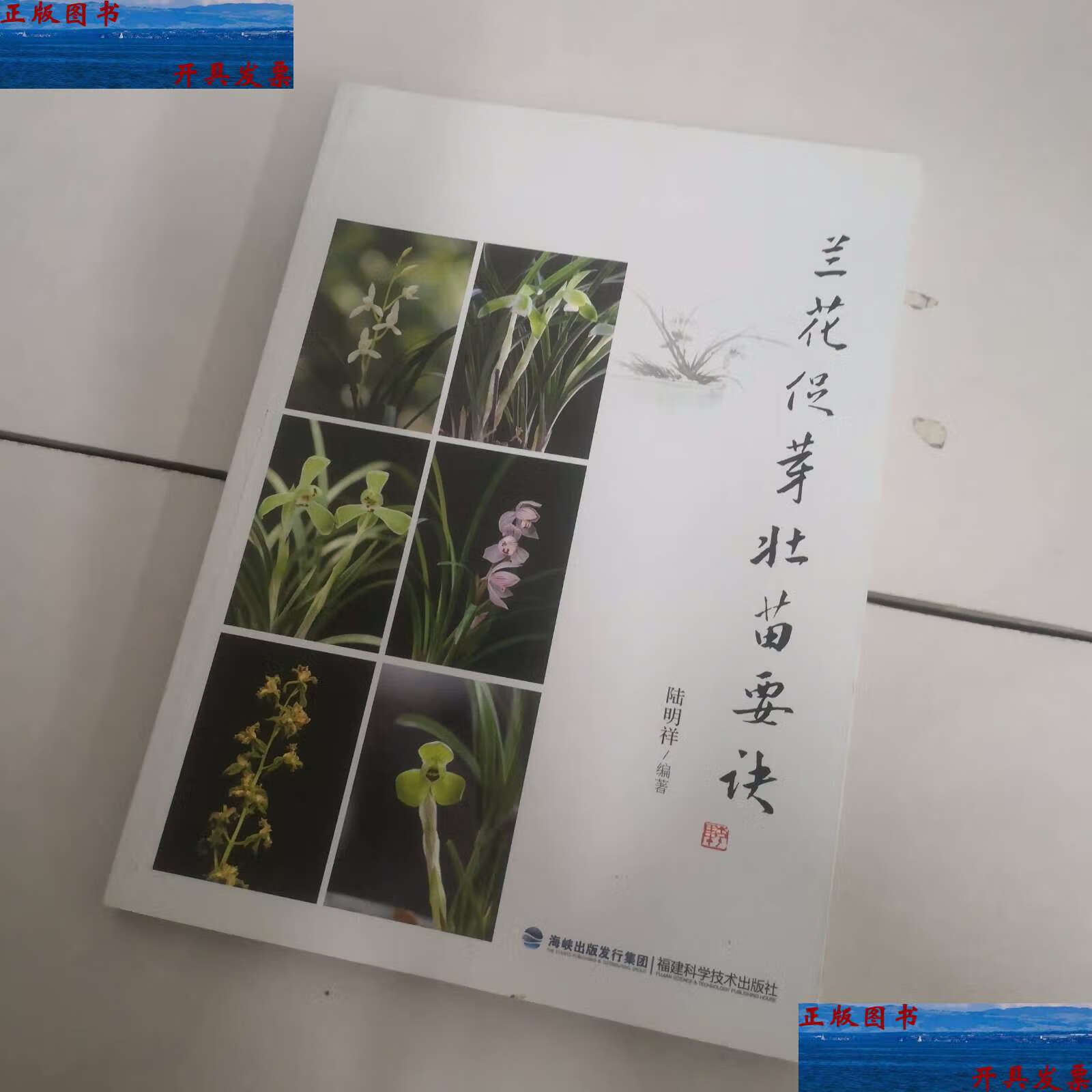 【二手9成新】兰花促芽壮苗要诀 /陆明祥 福建科学技术