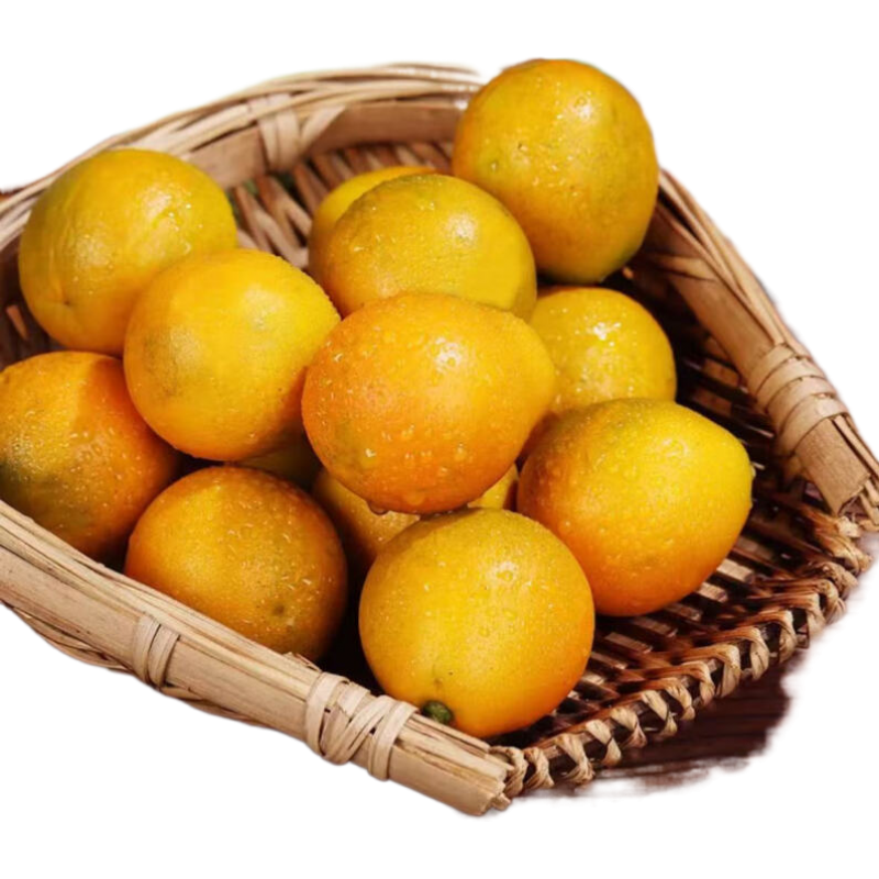 ڸڰ۽ ̵֭ƤСٽ ѡ1[װС 37Ԫ