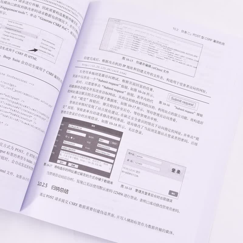 Web应用安全（异步图书出品）详情图