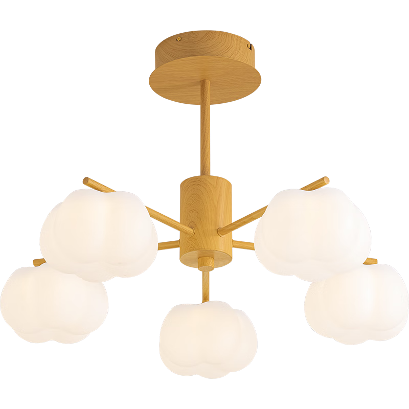 ŷ��������OPPLE��ԭľ���ͷ����Ra95���ܵ���������Ҳ������ۺǻ�����������5ͷ