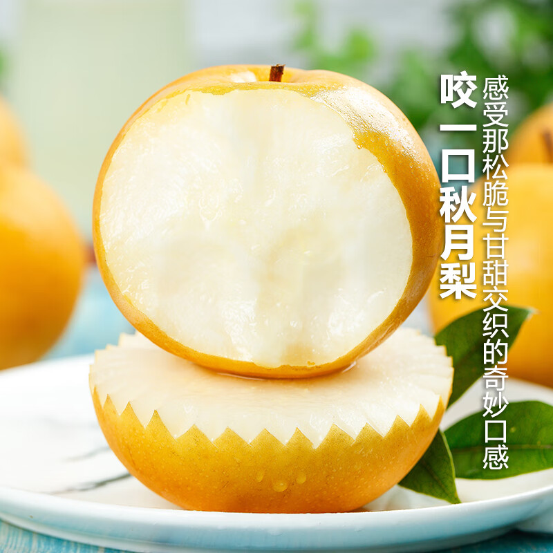 秋月梨山东莱阳新鲜冰糖梨水果黄梨现摘清甜多汁产地直发精品礼盒 净重4.5斤大果(5-7枚)