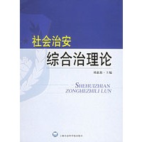 社会治安综合治理论【正版图书】