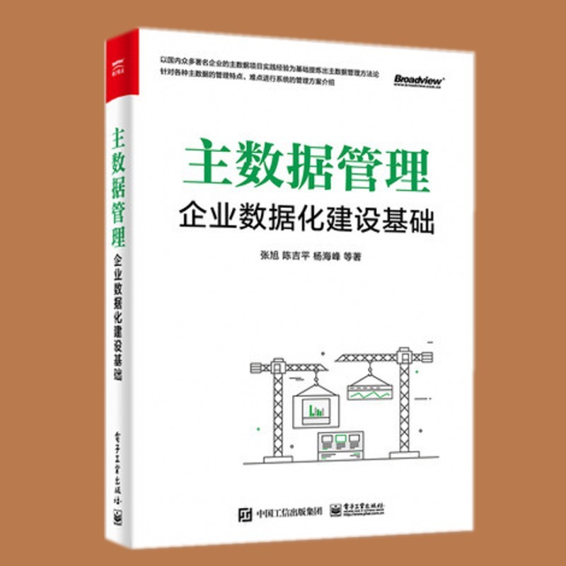 主数据管理：企业数据化建设基础 电子工业出版社