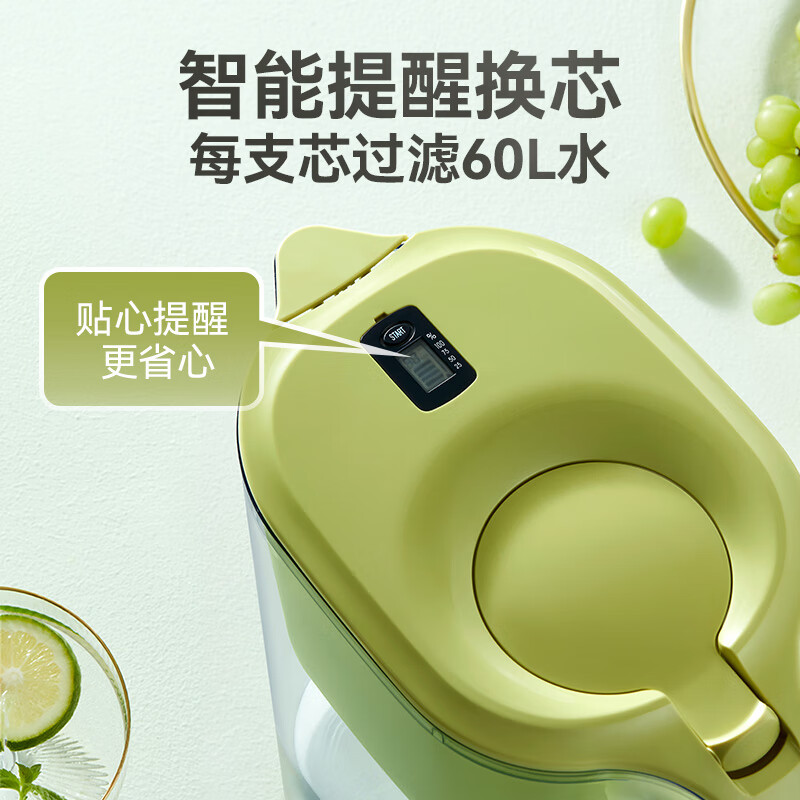 倍世（BWT） 净水壶滤水净水器家用 欧洲进口滤芯去水垢增强55% 益家系列大容量过滤器 【镁离子滤芯】1壶6芯 绿色