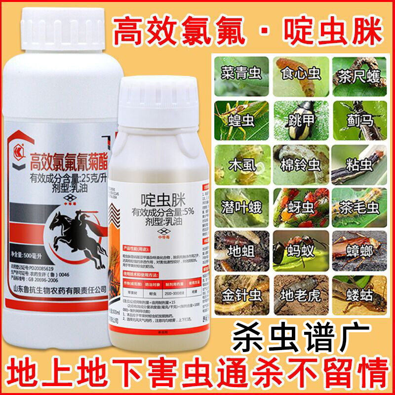 啶虫脒高效氯氟氰菊酯钻心虫蚜虫红蜘蛛根结线虫螨虫药农药杀虫剂