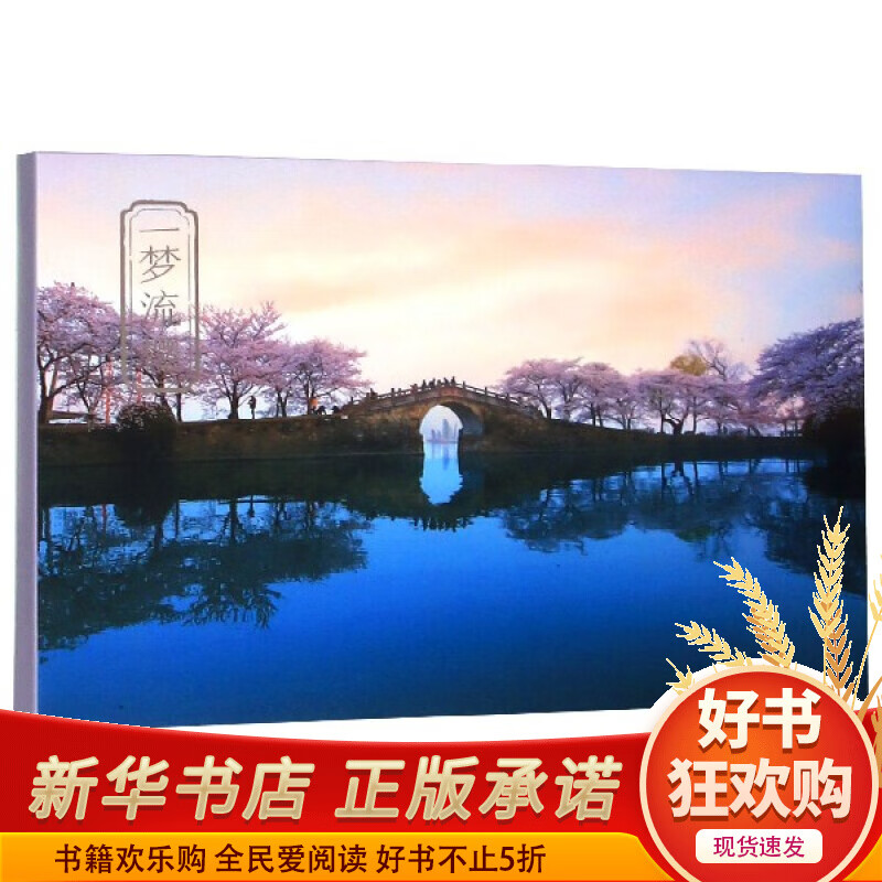 一梦流樱(明信片)