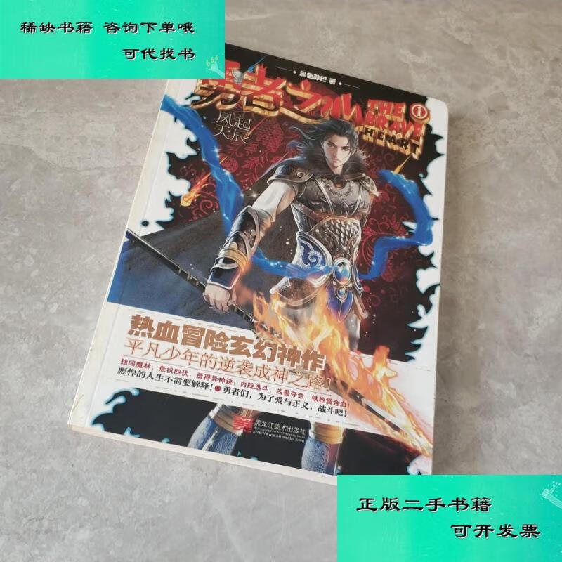 【二手九成新】勇者之心1风起天辰 黑色莽巴