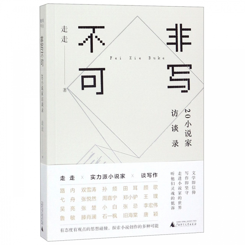 非写不可(20小说家访谈录)