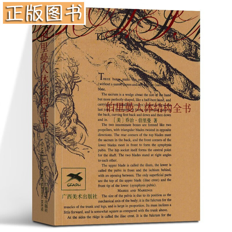 【正版现货】伯里曼人体结构全书袖珍版便携小开本 人体人物绘画教学素描大师速写临摹基础入门技法教程动漫