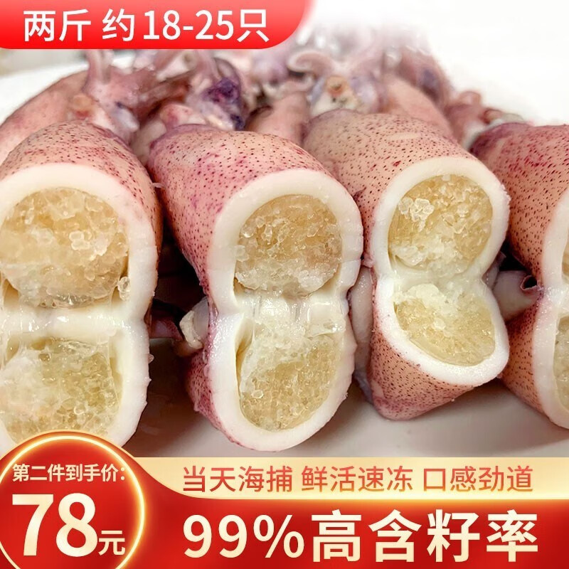 鱼姐海成 青岛海兔子满籽笔管鱼新鲜全籽籽乌鲜活冷冻海鲜水产1kg袋装