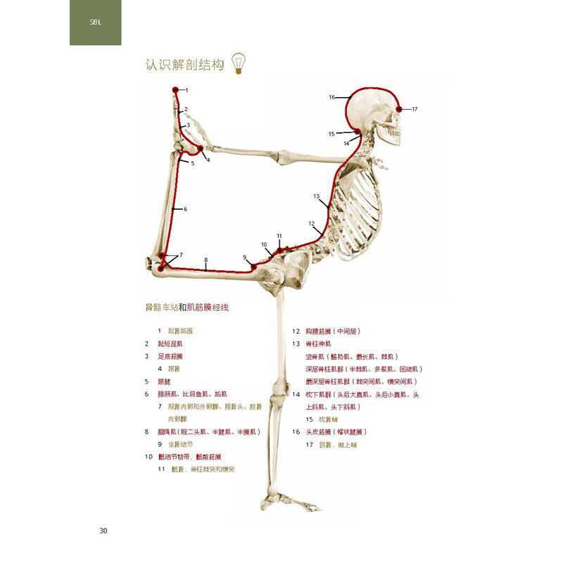 运动中的解剖列车 : 肌筋膜经线身体地图的运动和觉察探索 北京科学技术